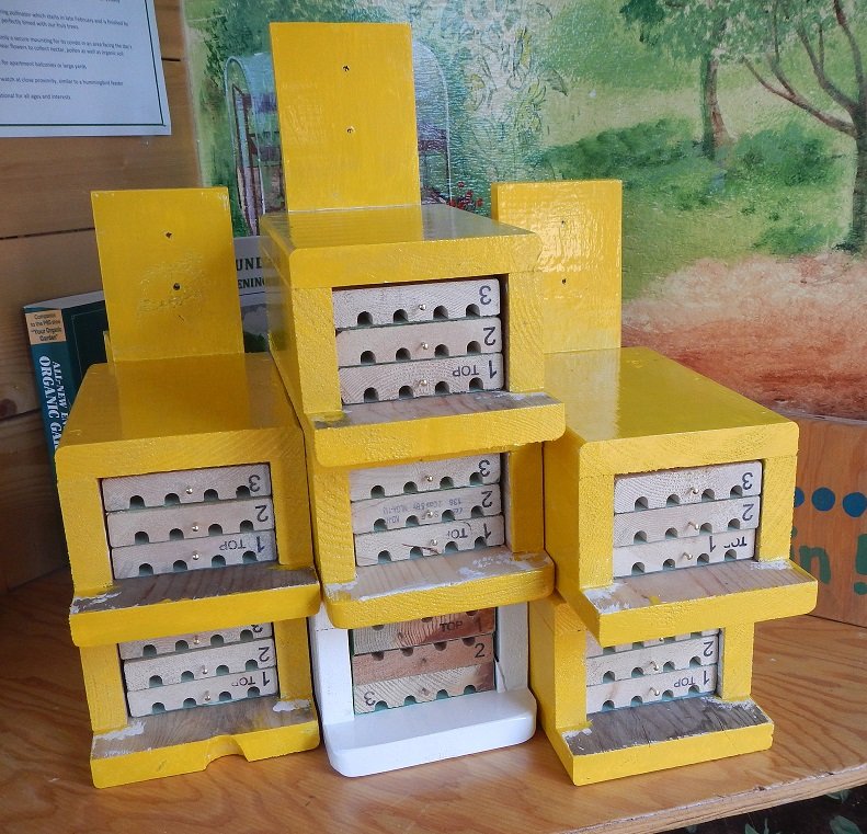 Mason Bee Condos are in!