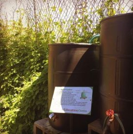 New Factsheet:  #16, Rainwater Harvesting