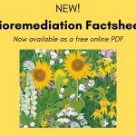 *New* Factsheet #19 Bioremediation for Urban Gardeners