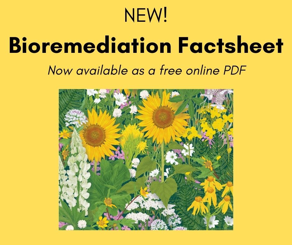 *New* Factsheet #19 Bioremediation for Urban Gardeners