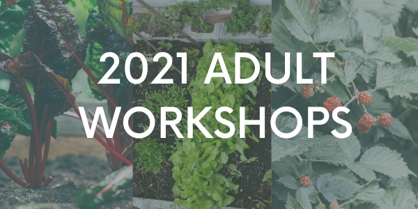 Our 2021 Workshops are now Open for Registration!