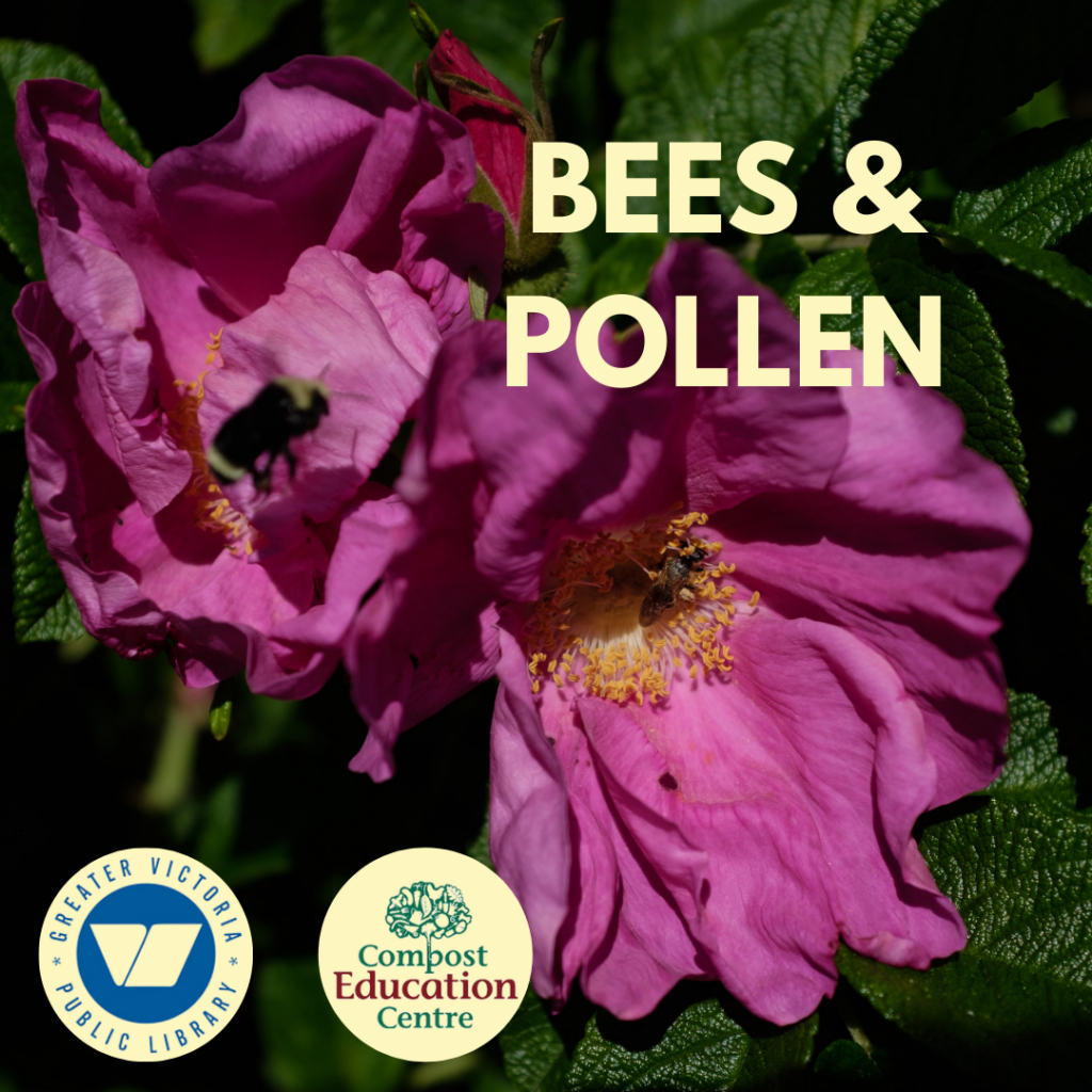 Bees & Pollen with the GVPL