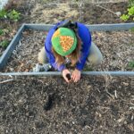 Updates from an Amateur Gardener: Thinking About Soil Quality and Compost