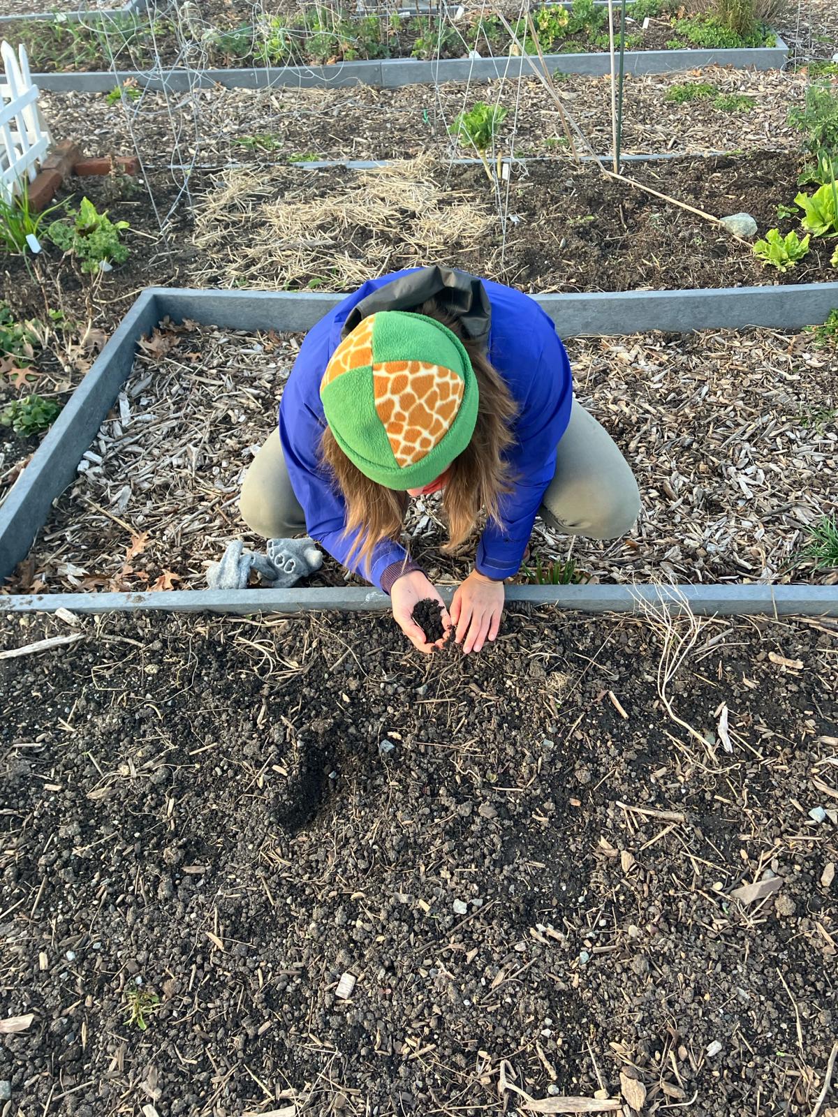 A C E C staff member is kneeling in front of a bare garden bed, holding soil in their palm.