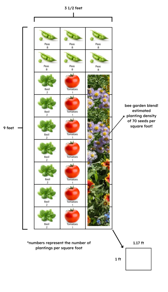 Updates from an Amateur Gardener: Garden Plot Plan