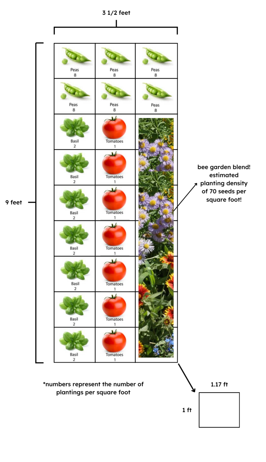 Garden Plot Plan – Compost Education Centre