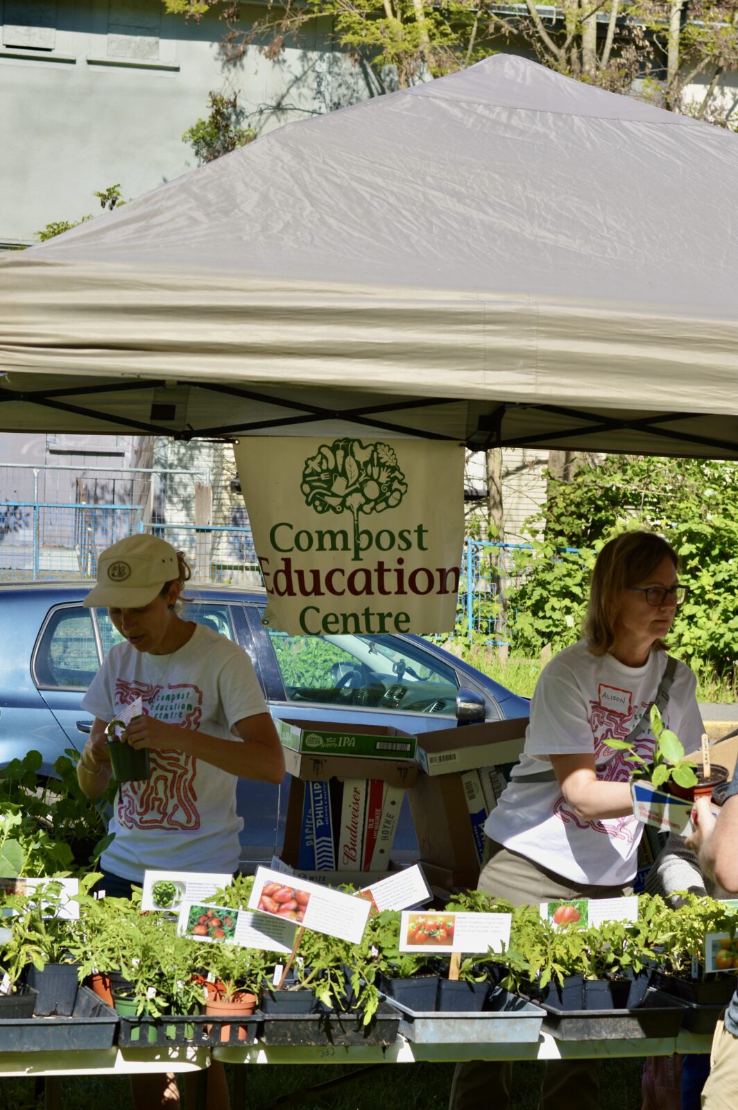 Fall Plant Sale Fast Approaching!