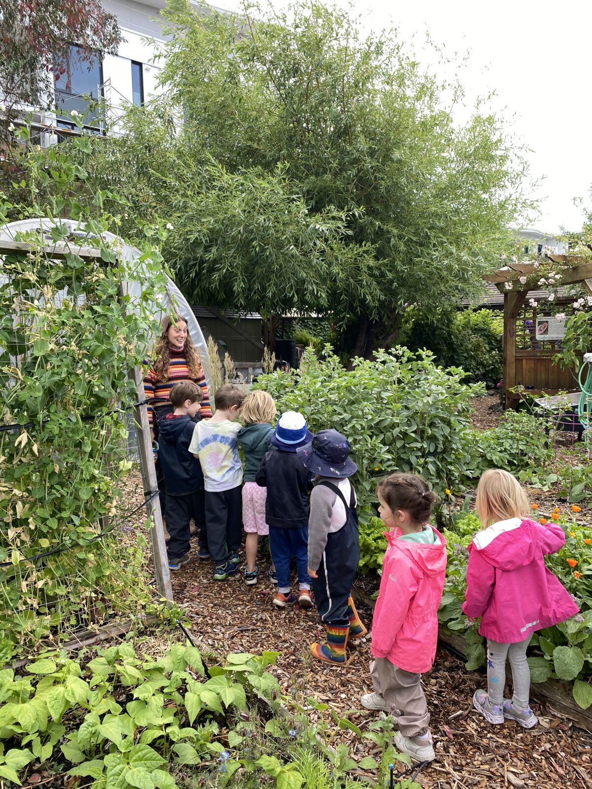 A group of children are in a line following the education assistant as she guides them through the Compost Education Centre site.