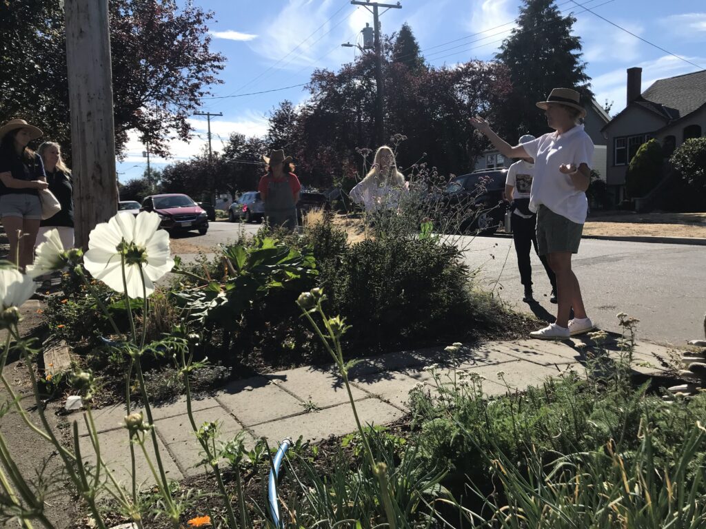 white flower in foreground, group of people talking around a boulevard garden.